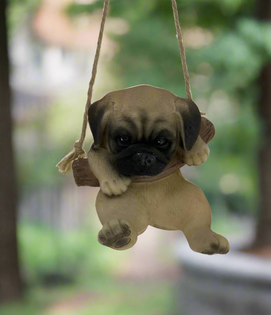 Swinging Pug Pup