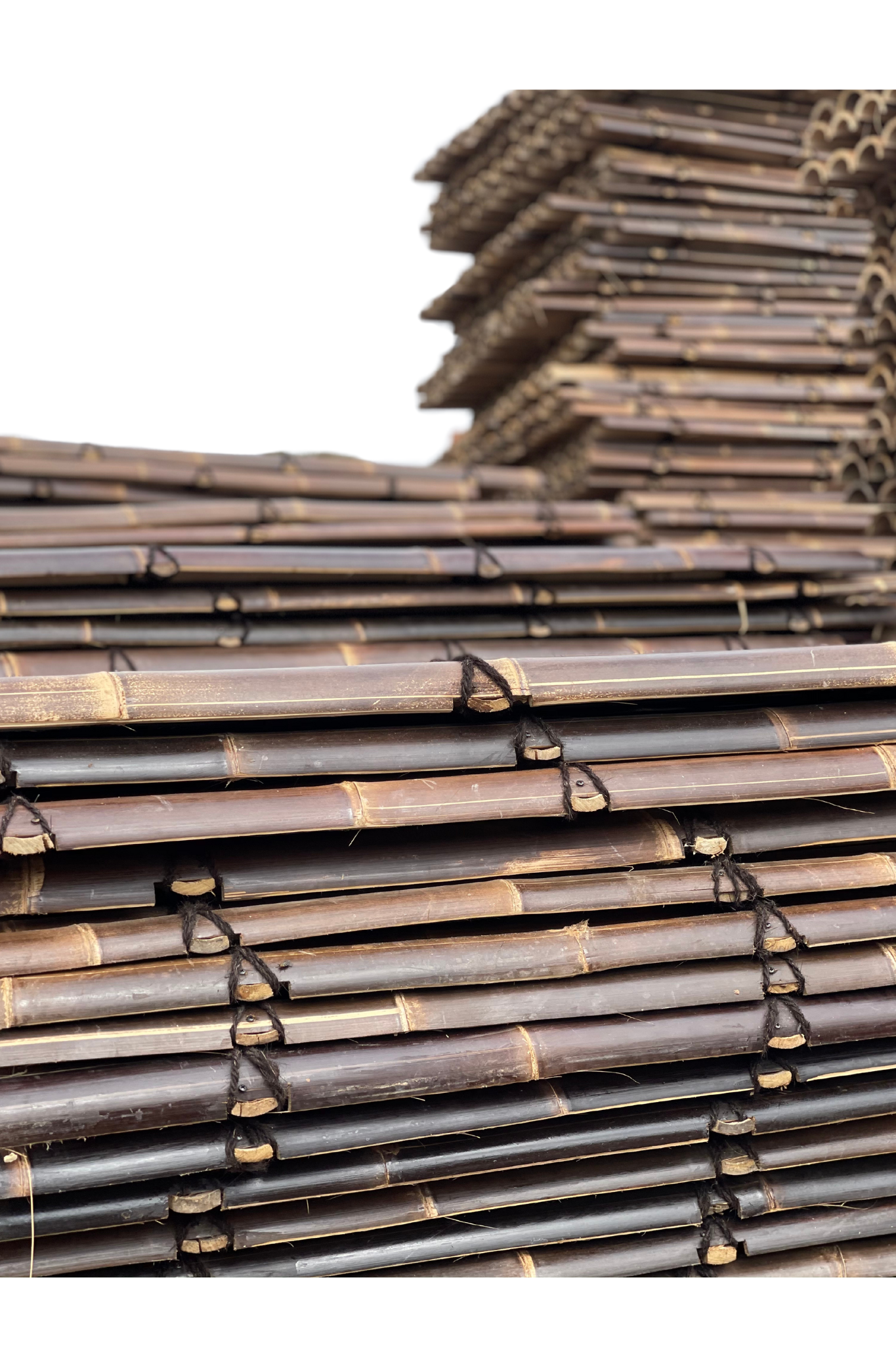 Bamboo Panels